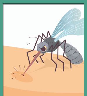 Dengue--boxbanner
