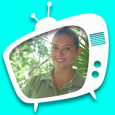 EnVozdeLauraHernandez--boxbanner